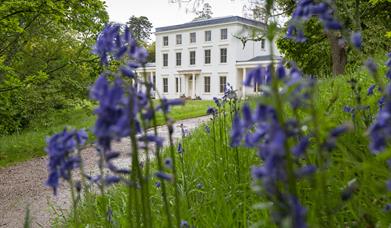 Exterior National Trust - Greenway