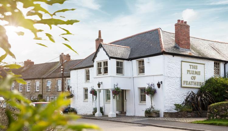 The Plume of Feathers