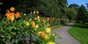Nottingham Arboretum