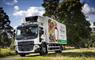 Williamson Foodservice lorry & trees