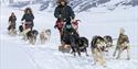 A guide driving a dog sled with a guest sitting on it. In the background, two more sleds are following along.